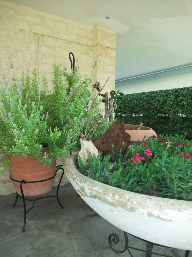 A Majestic Elegant House With A Garden Apartment Peraia  ภายนอก รูปภาพ